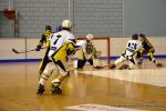 Photo hockey reportage N2 : Démonstration de force