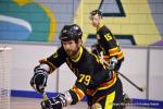 Photo hockey reportage N2 : Démonstration de force