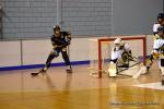 Photo hockey reportage N2 : Démonstration de force