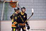 Photo hockey reportage N2 : Démonstration de force