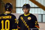 Photo hockey reportage N2 : Démonstration de force