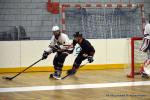 Photo hockey reportage N2 : Les chevaliers règnent