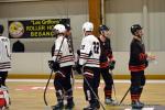 Photo hockey reportage N2 : Les chevaliers règnent