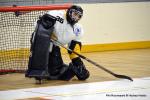 Photo hockey reportage N2 : Les Griffons quittent la dernière place
