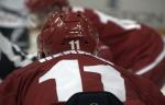 Photo hockey reportage NLA: Fribourg trébuche