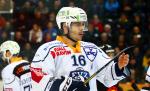 Photo hockey reportage NLA: Libérez les ours !