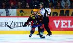 Photo hockey reportage NLA: Libérez les ours !