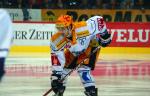 Photo hockey reportage NLA: Libérez les ours !