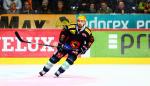 Photo hockey reportage NLA: Libérez les ours !
