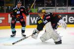 Photo hockey reportage NLA: Libérez les ours !