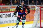 Photo hockey reportage NLA: Libérez les ours !