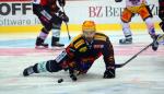 Photo hockey reportage NLA: Libérez les ours !