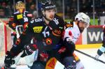 Photo hockey reportage NLA: Libérez les ours !