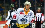 Photo hockey reportage NLA: Libérez les ours !