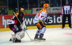 Photo hockey reportage NLA: Libérez les ours !