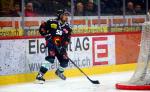 Photo hockey reportage NLA: Libérez les ours !