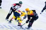 Photo hockey reportage NLB: Le HC Red Ice d’une courte tête
