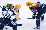 Photo hockey reportage NLB: Le HC Red Ice d’une courte tête
