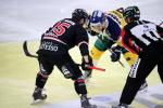 Photo hockey reportage NLB: Le HC Red Ice d’une courte tête