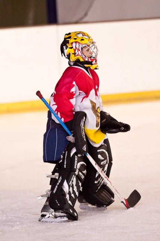 Photo hockey reportage Orléans vs Deuil : Photos U11