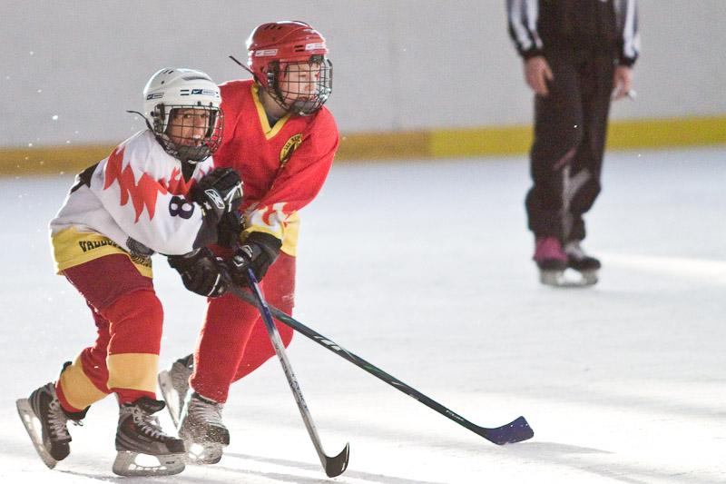Photo hockey reportage Orléans vs Deuil : Photos U11