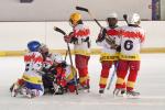 Photo hockey reportage Orléans vs Deuil : Photos U11