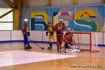 Photo hockey reportage Playoffs N2 : Angers et Besançon sont bons