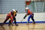 Photo hockey reportage Playoffs N2 : Angers et Besançon sont bons