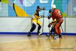 Photo hockey reportage Playoffs N2 : Angers et Besançon sont bons
