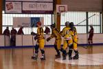 Photo hockey reportage Playoffs N2 : Angers et Besançon sont bons