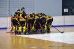 Photo hockey reportage Playoffs N2 : Angers et Besançon sont bons