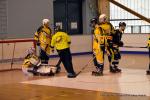 Photo hockey reportage Playoffs N2 : Angers et Besançon sont bons
