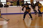 Photo hockey reportage Playoffs N2 : Angers et Besançon sont bons