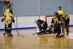 Photo hockey reportage Playoffs N2 : Angers et Besançon sont bons