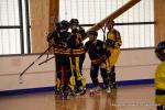 Photo hockey reportage Playoffs N2 : Angers et Besançon sont bons