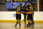 Photo hockey reportage PO N1 : Les Griffons au 7ème ciel