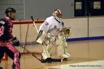 Photo hockey reportage Pré Nat 1/2 : Besançon tête de gondole