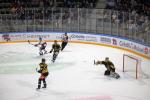 Photo hockey reportage Préparation : Photos Angers vs Rouen