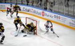 Photo hockey reportage Préparation : Photos Angers vs Rouen