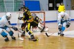 Photo hockey reportage Première victoire des Griffons