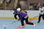 Photo hockey reportage Roller : 1er tournoi féminin à Villard Bonnot