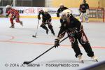 Photo hockey reportage Roller CDF : finale féminine