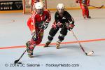 Photo hockey reportage Roller CDF : finale féminine