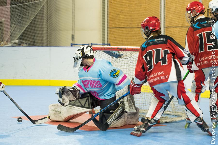 Photo hockey reportage Roller N3 - Villard Bonnot s'incline face à Valence