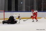 Photo hockey reportage TF - Serre-Chevalier arrache le Trophée en prolongation