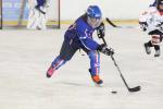 Photo hockey reportage Tournoi Cherbourg : Résultats et Photos