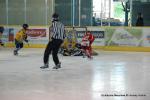 Photo hockey reportage Tournoi U11 à Dijon