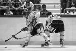 Photo hockey reportage Trophée des champions aux Dragons
