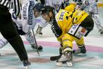 Photo hockey reportage Trophée des champions aux Dragons