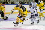 Photo hockey reportage Trophée des champions aux Dragons